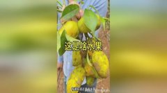 用CRM系统（客户关系办理系统）、社交平台和其